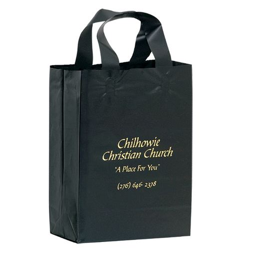 Custom Printed Color Frosted Soft Loop Plastic Shopper Bag w/Insert (10"x5"x13") - Foil Stamp - 19FSL10513-FS